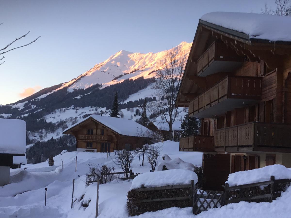 Le Sapin Appartement Les Diablerets Buitenkant foto